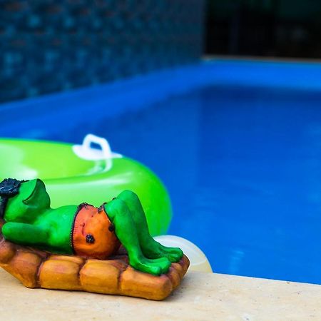 Lazy Frog Guest House Cavelossim Ngoại thất bức ảnh